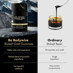 Gomas de Shilajit Mineral IT 30 gomas